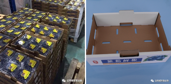 1589522996654643.png 自動套袋機(jī)供應(yīng)